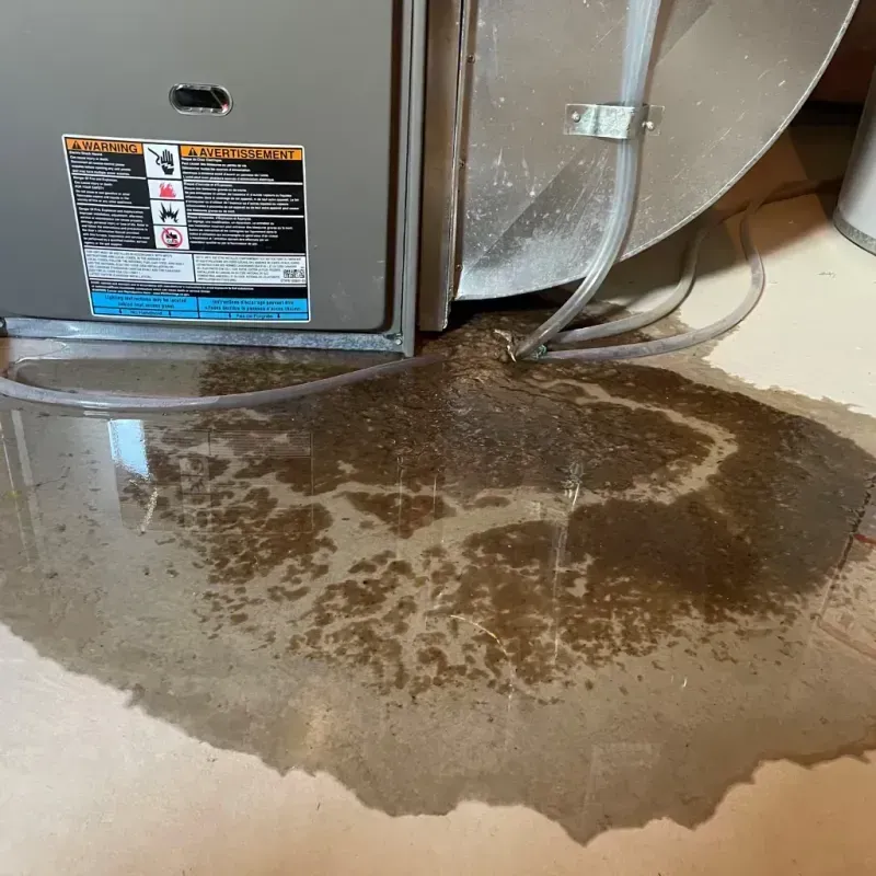 Appliance Leak Cleanup in Wythe County, VA